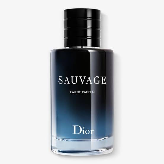 CHRISTIAN DIOR