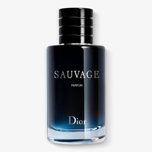 CHRISTIAN DIOR